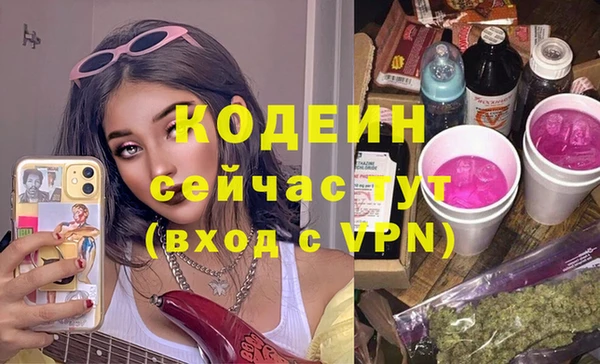 прущая мука Вяземский