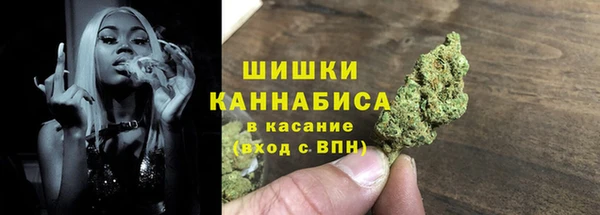 прущий лед Вязьма