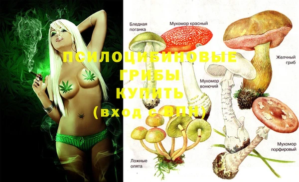 мет Горно-Алтайск