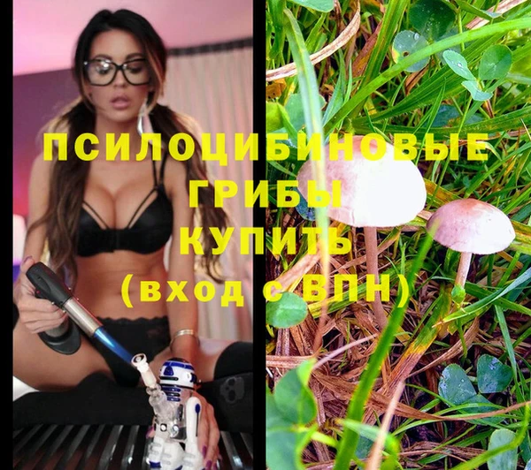 спайс Горнозаводск