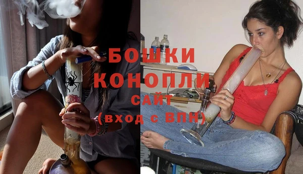прущая мука Вяземский