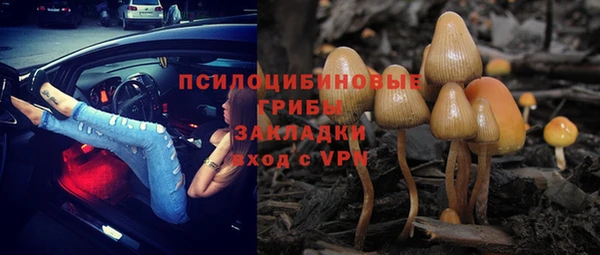 прущая мука Вяземский