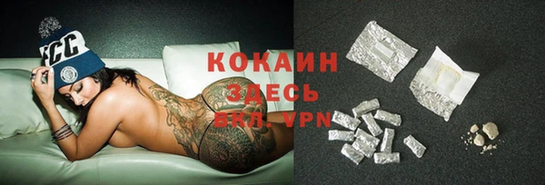 прущая мука Горняк